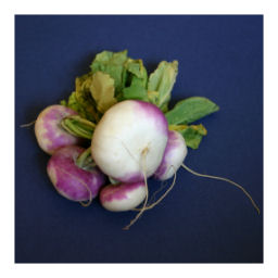 memory legumes printemps