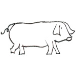 coloriage cochon